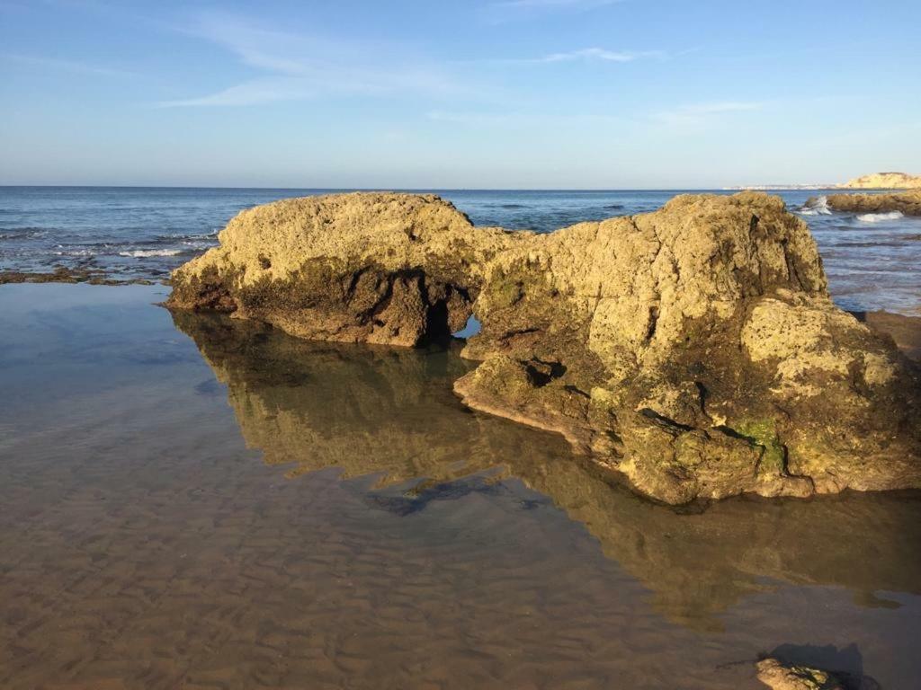 Panoramic Apartment In Portimao: Ocean View, Wifi المظهر الخارجي الصورة